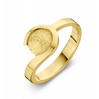ring, fingerprint, fingerabdrück, vingeradruk, allure, gold, goud, yellow, geel,